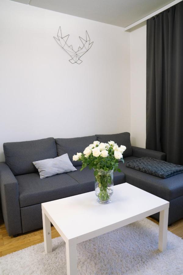 Lovely Northern Apartment, Parking Oulu Dış mekan fotoğraf